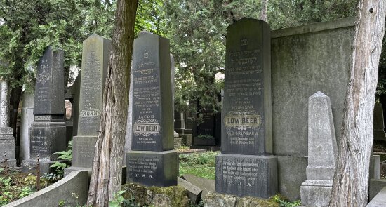 Revitalizace náhrobků na židovském hřbitově